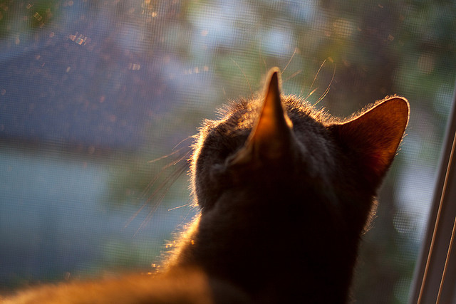 开云·体育官网-巴尔:凭借出色的防守意识和球场阅读能力,他是全黑队的防守中坚