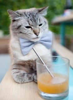 开云真人娱乐官网-独行侠训练中出现对抗赛段拍摄花絮，独行侠队战术